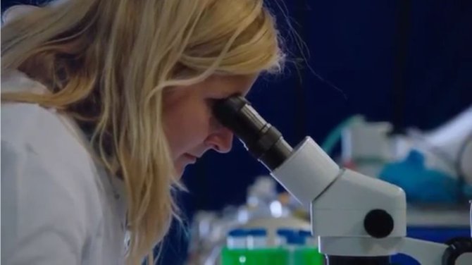 Andrea bekijkt met behulp van een binoculair de overleving van plankton in haar experimenten.  
