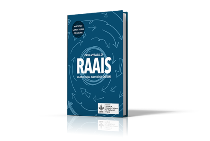 RAAIS Toolkit (first edition)