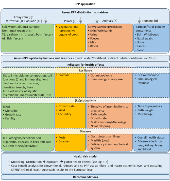 Figure 1: SPRINT’s approach with regard to the overall assessment of PPP residue distribution in different matrices, and related EPAH health impacts   