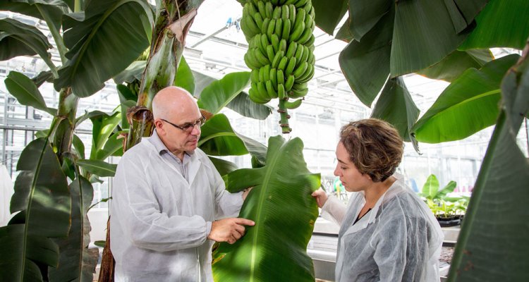 Facilities Plant Research