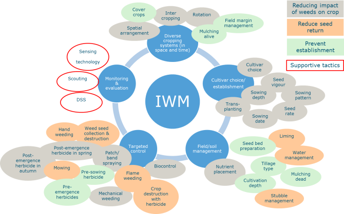 Figure 2 Vijf pijlers (blauw) met voorbeelden van onkruidbeheersingstechnieken en het werkingsmechanisme waarmee de tactiek bijdraagt aan het verminderen van de onkruiddruk in een gewas.