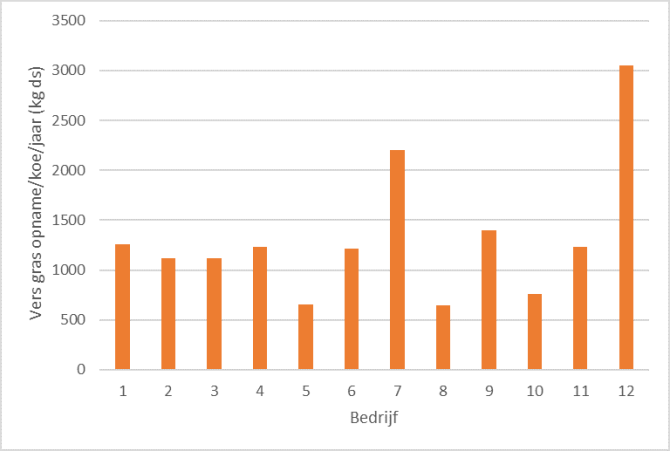 Figuur 1. Vers gras opname/koe/jaar per bedrijf voor de 12 pilotbedrijven in 2020.   