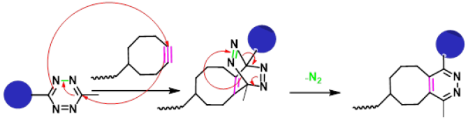 Het reactiemechanisme waarmee een ander molecuul op bijvoorbeeld een antilichaam (blauw rondje) wordt geplaatst d.m.v. click-chemistry