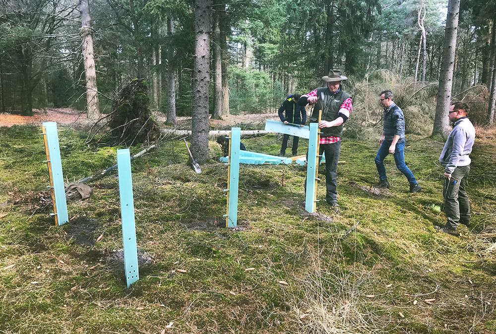 De aanleg van nieuwe bomen en bossen versterkt de veerkracht van het gebied. Foto: Marijn Flipse   