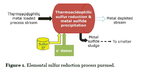 Elemental Sulfur reduction process pursued