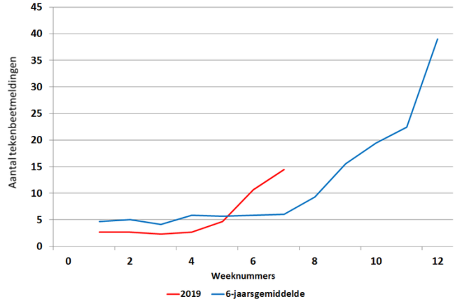 Wekelijks aantal tekenbeetmeldingen via Tekenradar.nl in 2019 (rode lijn) en het gemiddelde over de afgelopen zes jaar (blauwe lijn) (Bron: Tekenradar.nl)