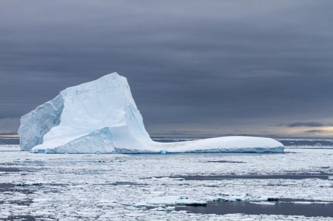 Chinstrap Penguins group together on an iceberg, with evening sky in the back.