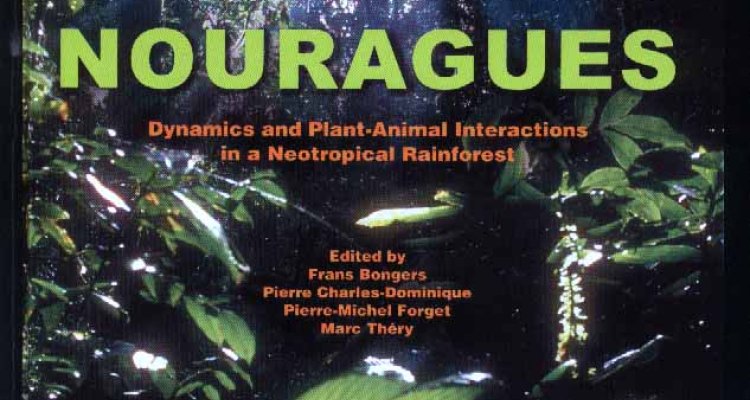 Nouragues