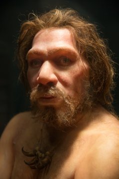 Neanderthaler mogelijk uitgestorven door te kleine populatie