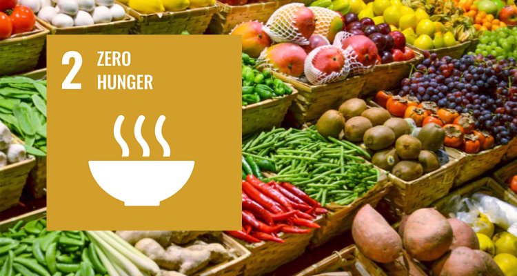 Zero hunger WUR Sustainable Development Goal