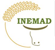 inemad_logo.jpg