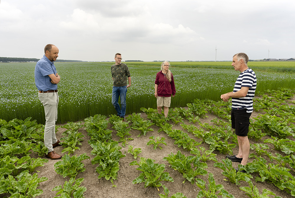 We can provide insights that will help farmers in their day-to-day activities. And as researchers, we get a better idea of how growers can achieve soil management objectives. Photo: Ruud Ploeg