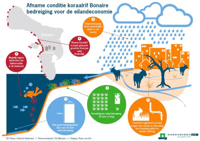 Afname koraalrif heeft gevolgen voor eilandeconomie op Bonaire - Klik op de afbeelding voor een grotere weergave  