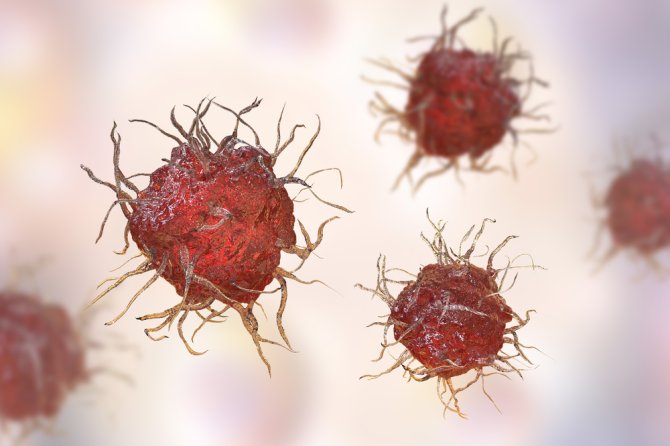 Een illustratie van dendritische cellen, de immuuncellen die de onderzoekers bestudeerden.