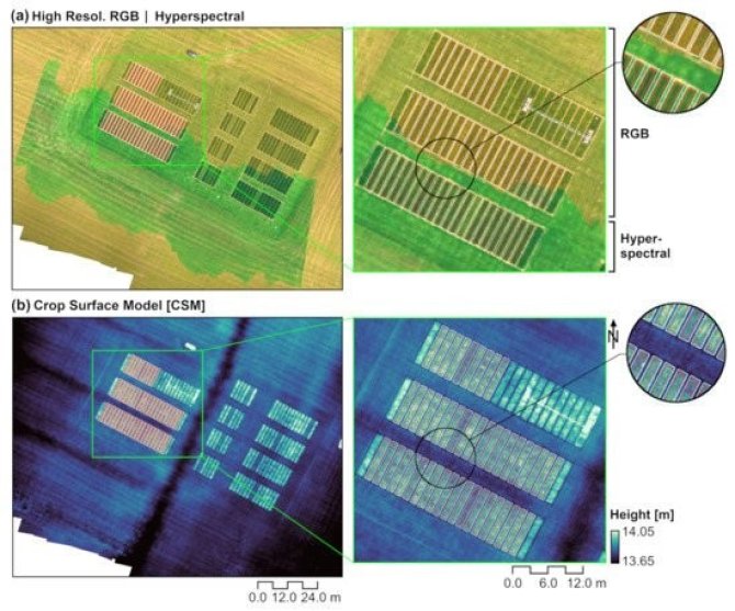UAV dataset acquired on 9 May 2017 (Day of the Year—DOY 130). In (a), orthomosaic derived from RGB high-resolution images (with Ground Sampling Distance—GSD of 0.015 m), in the upper portion of the figure, and hyperspectral image corresponding to a single flight line (with GSD of 0.156 m), in the bottom. Crop Surface Model (CSM) derived using Structure from Motion (SfM) applied to the RGB images is represented in (b).