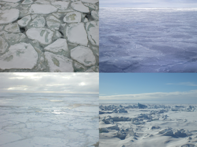 Different types of sea ice in the polar oceans (by Jan Andries van Franeker & Fokje Schaafsma)