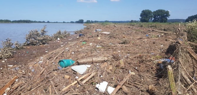 Waste in the Maas river.
