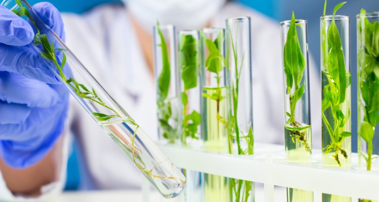 Education for Professionals Biotechnology and Chemistry