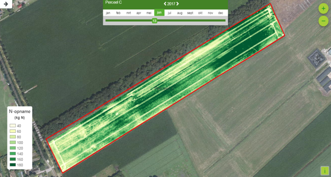 Photo 1: The drone image shows that the uptake of N in varies significantly within the field.