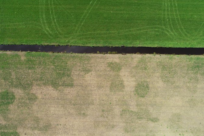 Drone image of a grassland with and without damage caused by mice. The upper part is flooded to prevent the mice from going there, the bottom part wasn't flooded. 