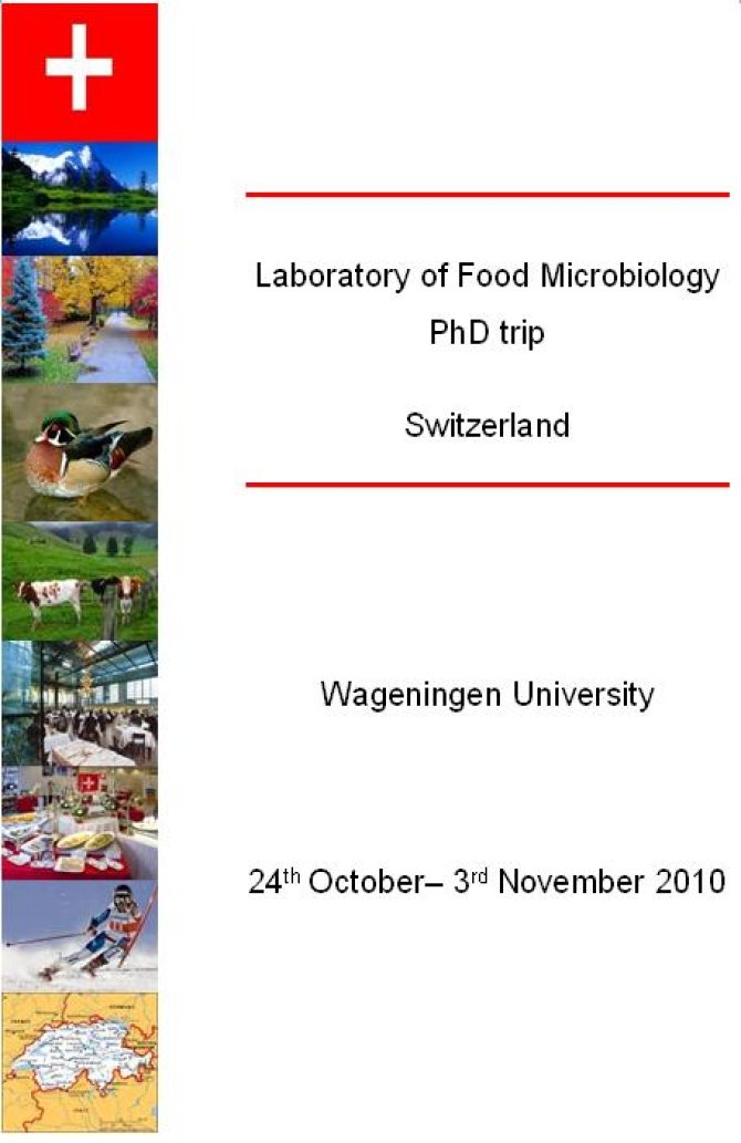 PhDtripcover2.jpg