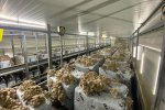 Mushroom cultivation facilities Wageningen University & Research