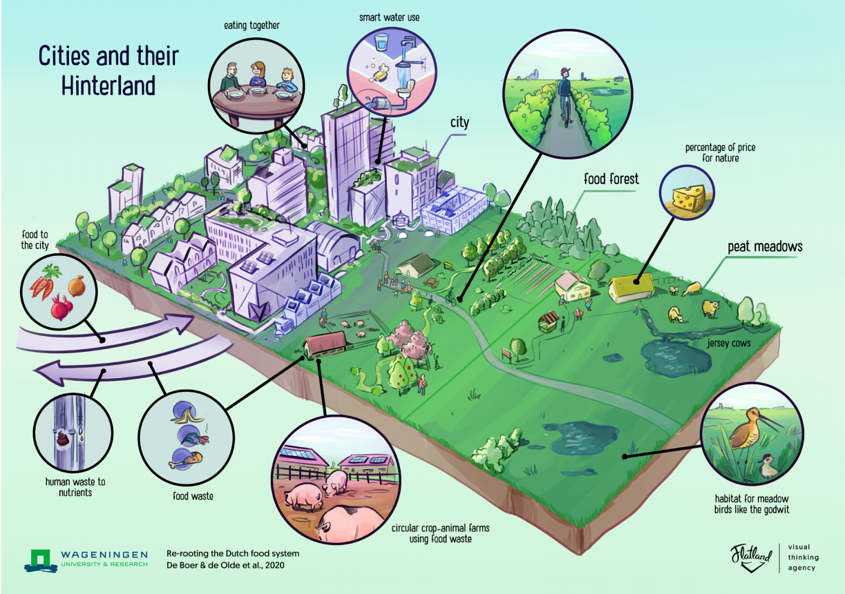 Cities and their Hinterland - Food Vision 2050