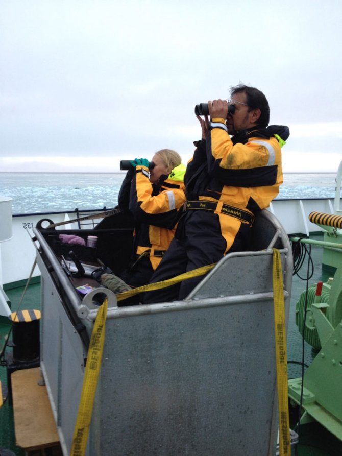 Researchers watching seabirds and cetaceans from the bird box.