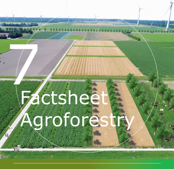 Factsheet 7 Agroforestry