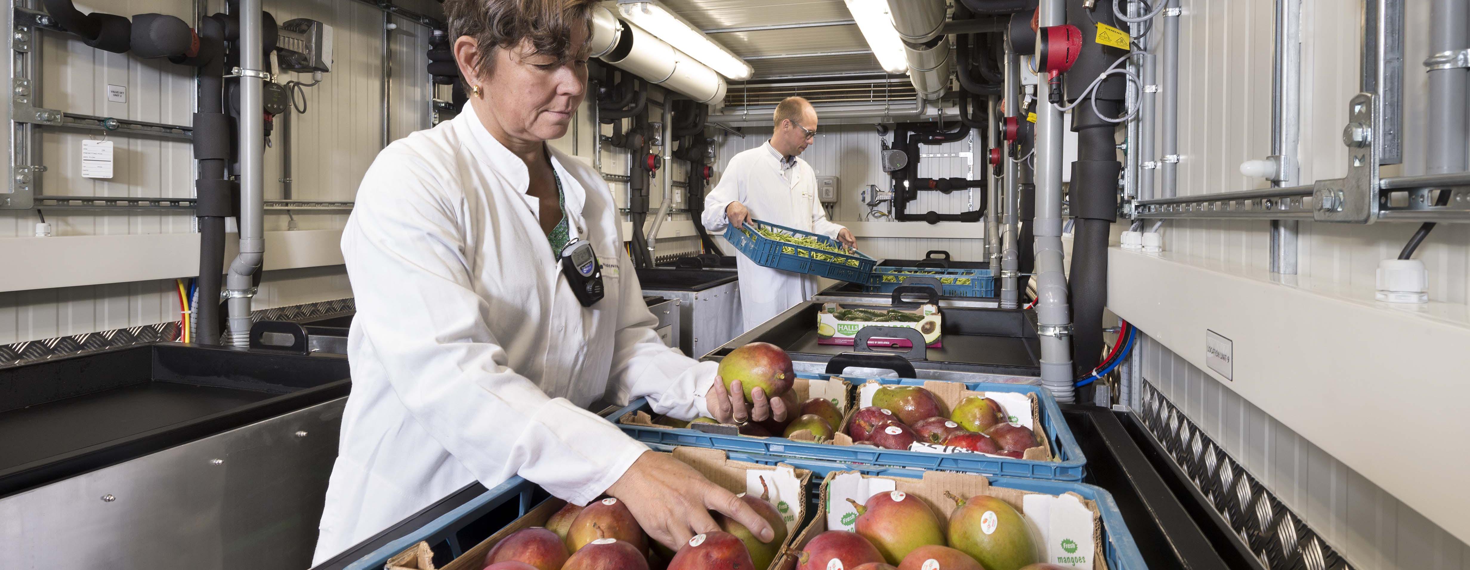 Onderzoekers in de onderzoekscontainer - Cool Research on the Move