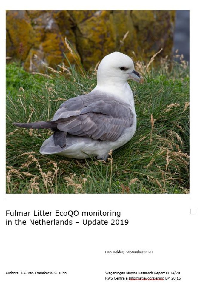 Het voorblad van het stormvogel-plastic graadmeter rapport 2019