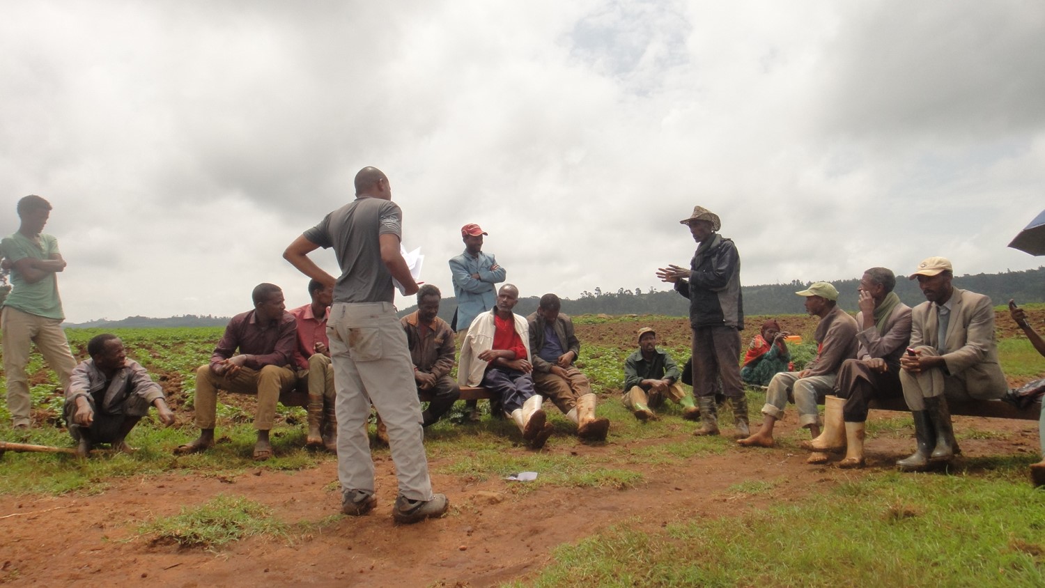 PhD student facilitates a farmer field school on potato disease management.