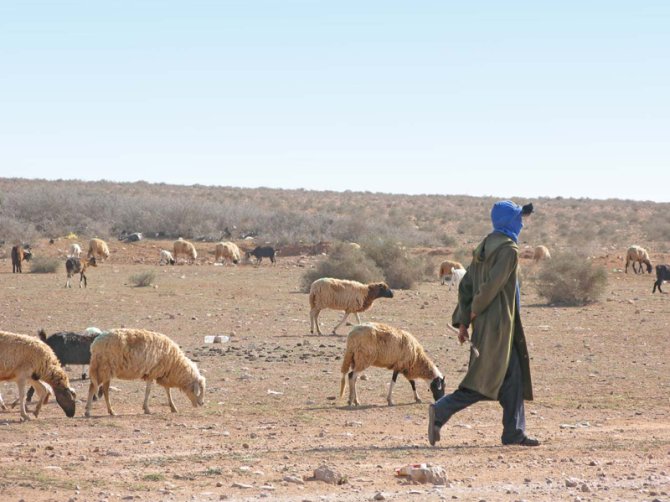 Drought restricted agriculture