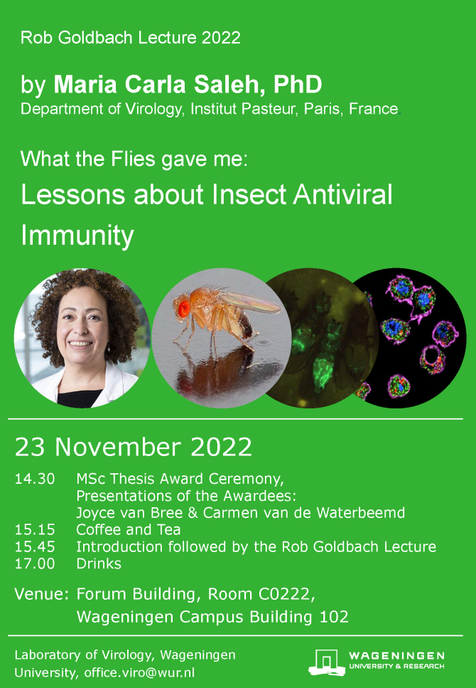 Rob Goldbach Lecture 2022 by Maria Carla Saleh, PhD Department of Virology, Institut Pasteur, Paris, France. What the Flies gave me: Lessons about Insect Antiviral Immunity. 23 November 2022 14.30 MSc Thesis Award Ceremony, Presentations of the Awardees: Joyce van Bree & Carmen van de Waterbeemd 15.15 Coffee and Tea 15.45 Introduction followed by the Rob Goldbach Lecture 17.00 Drinks Venue: Forum Building, Room C0222, Wageningen Campus Building 102