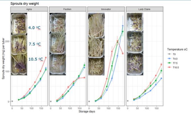 Sprouts dry weight versus storage days