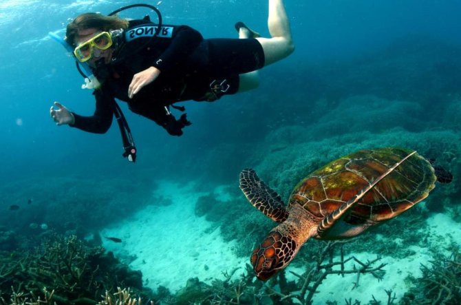 hetty great barrier reef.jpg