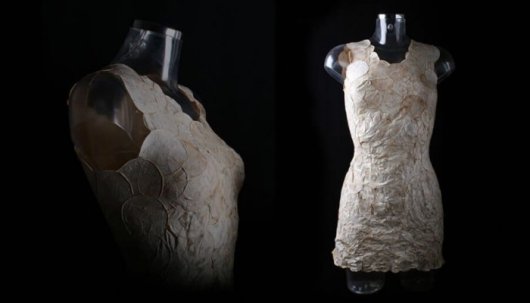 Een jurk gemaakt met schimmels (Foto: Aniela Hoitink, NEFFA)
