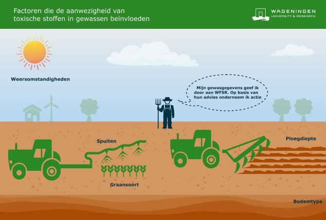 Factors that influence the presence of toxins in crops