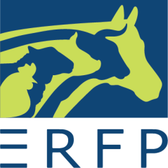ERFP_transparent.png