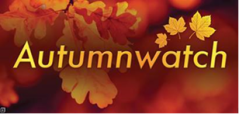 Autumnwatch.png