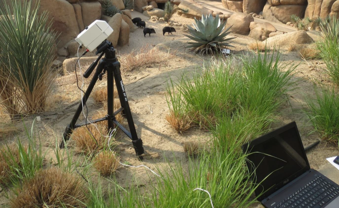 Desert Simulation set-up using the Rikola hyperspectral camera