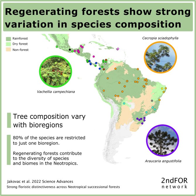 Floristic distinctiveness across Neotropical succesional forests