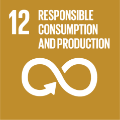 SDG 12: Responsible consumption and production