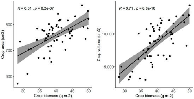 Relation between field measured crop biomass (x-axis) and UAV derived crop area (left) and crop volume (right) on y-axis.