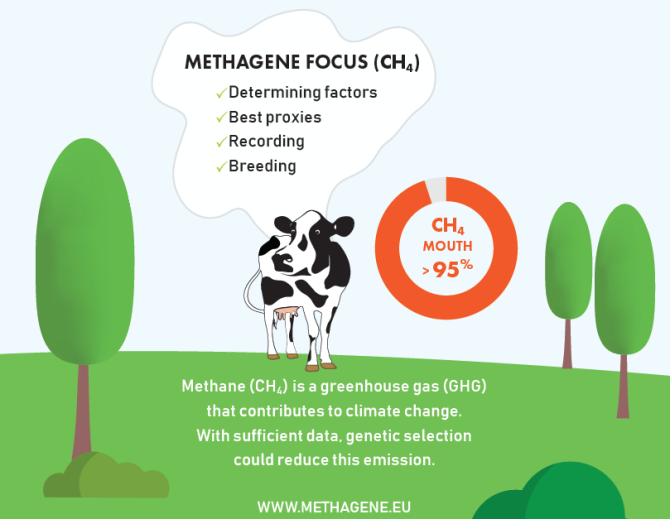 <L CODE="C03">Click to download the infographic "The menace of cow burps"</L>