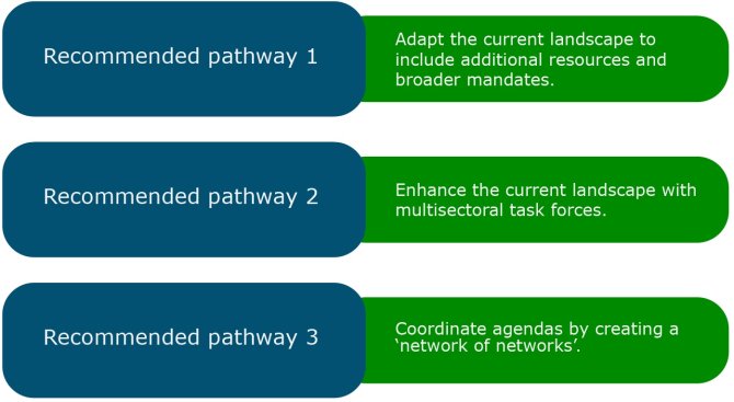 The three recommended pathways: adapt the current landscape to include additional resources and broader mandates; enhance the current landscape with multisectoral task forces; coordinate agendas by creating a ‘network of networks.
