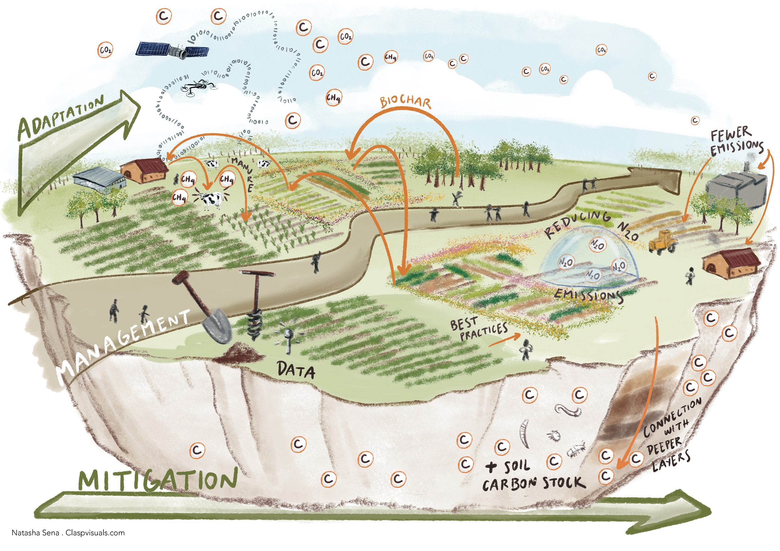 Soil Carbon Management and Climate Change_no title.jpg