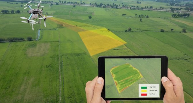 Smart farming using a drone and tablet (Image: Shutterstock).