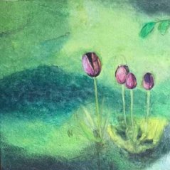 Watercolour drawing of purple tulips on a background of different shades of green.