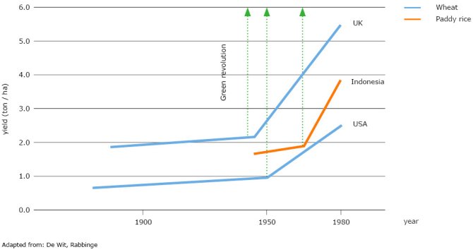 Before the Green Revolution, the yield of wheat increased every year with 3-4 kg per ha due to agronomic improvements and the use of improved seeds. The Green Revolution boosted this increase enormously to 50-75 kg per year. This is visualised in the graph as a discontinuity, showing the yearly yield-increase before and after the Green Revolution in the UK and the USA. With some delay, the Green Revolution also affected South-East Asia, as illustrated by the discontinuity of the yield increase of paddy rice in Indonesia.